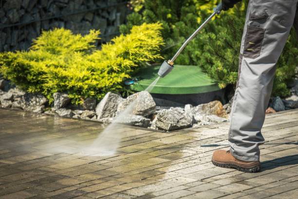 Best Winterizing Services  in Carbon Cliff, IL